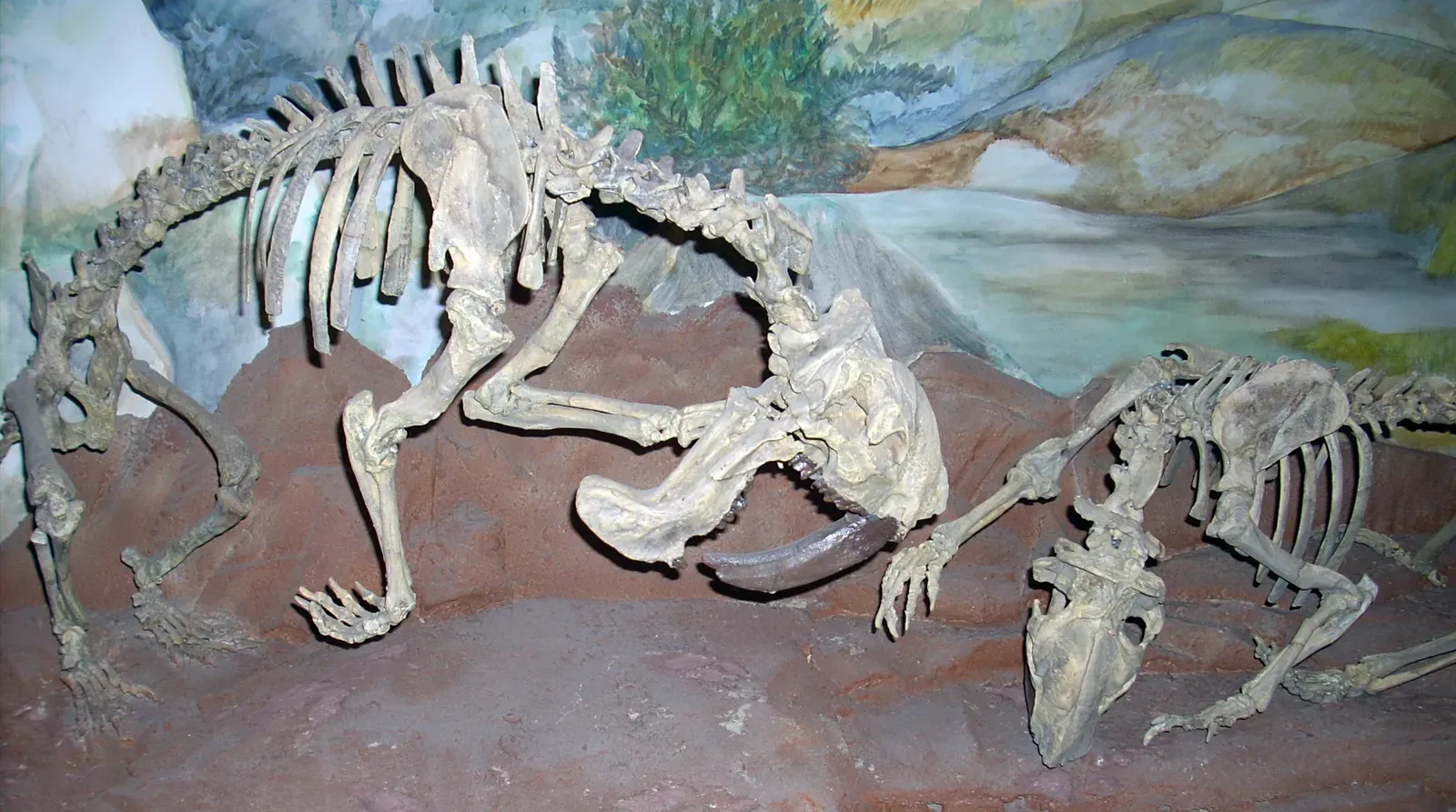 #10 - Thylacosmilus: The Saber-Toothed Predator That Might Not Have Been One (By Gastón Cuello, CC BY-SA 3.0)