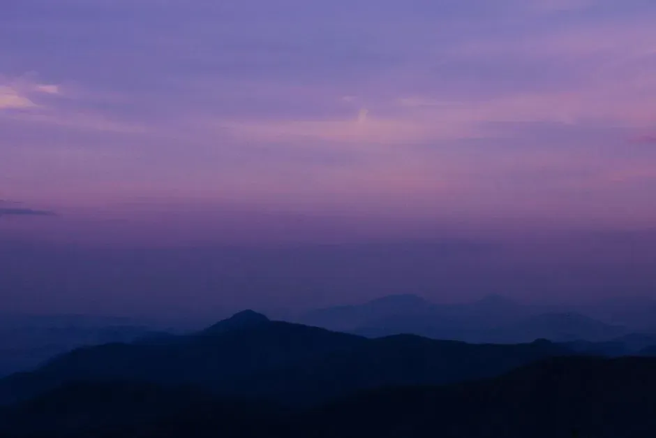 Opinionated Conclusion: A Purple Past We Should Take Seriously (Image Credits: Pexels)