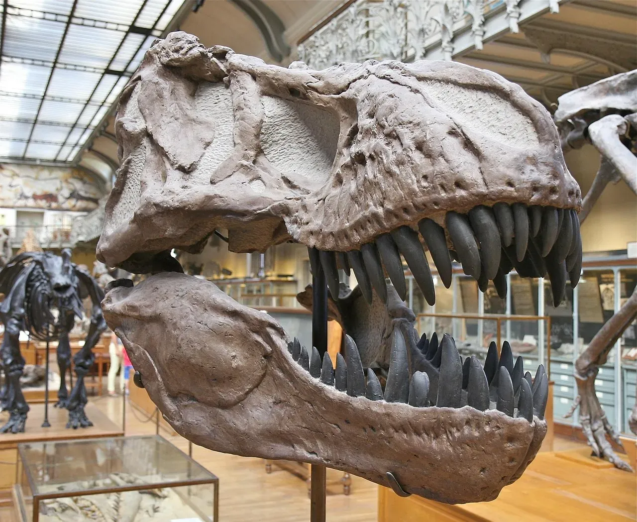 What Fossils Can And Can’t Tell Us About Dinosaur Voices (Image Credits: Pixabay)