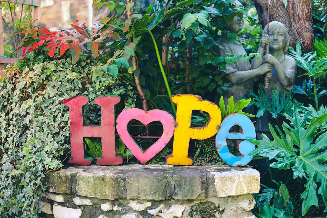 Rewriting The Belief: Maybe Good Things Can Return (Image Credits: Unsplash)