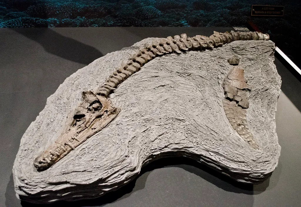 Climate Shocks, Dead Zones, and Mass Kill Events (Tim Evanson, Flickr, CC BY-SA 2.0)