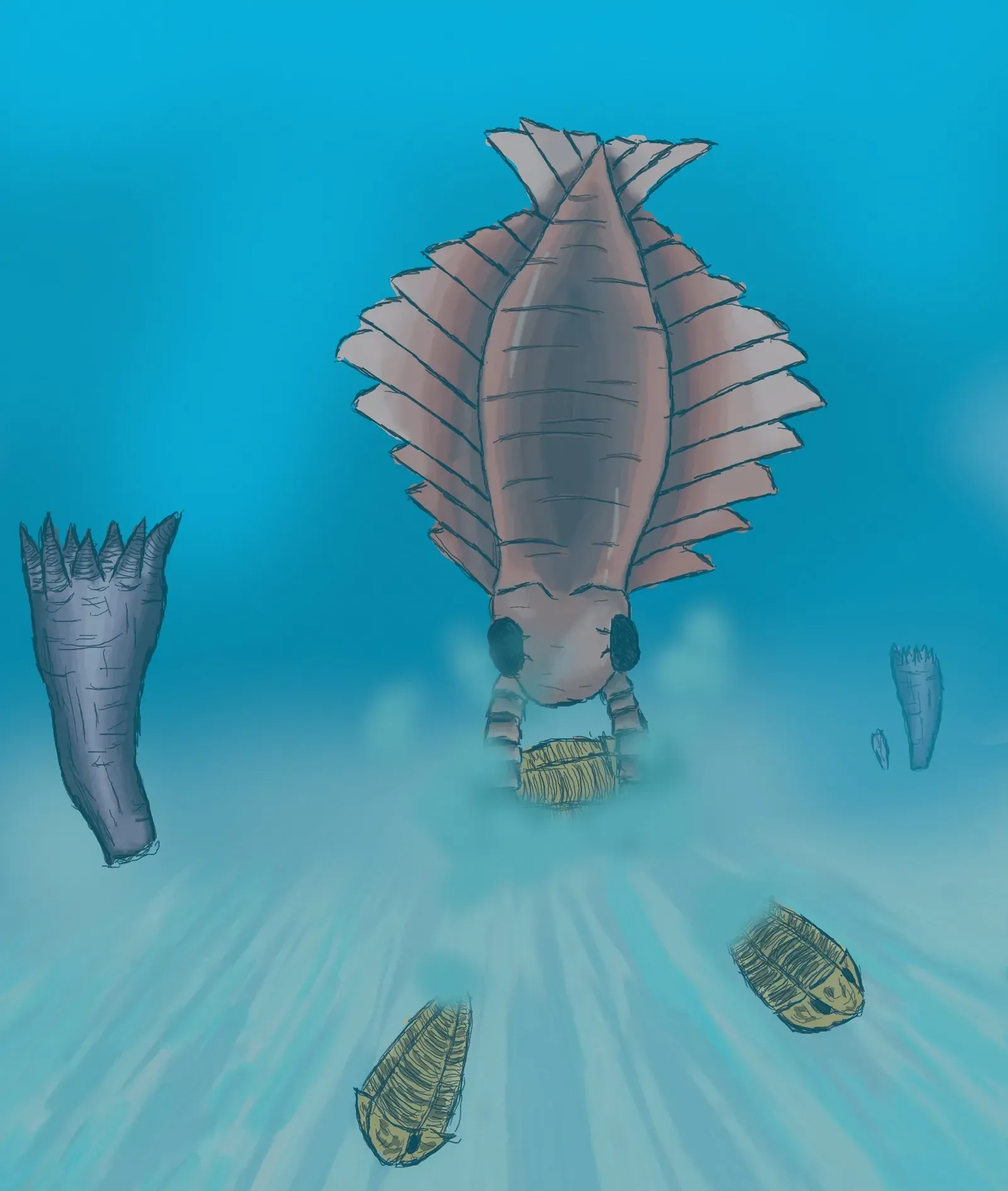 When Life First Learned to Kill: The Cambrian Explosion (Image Credits: Wikimedia)