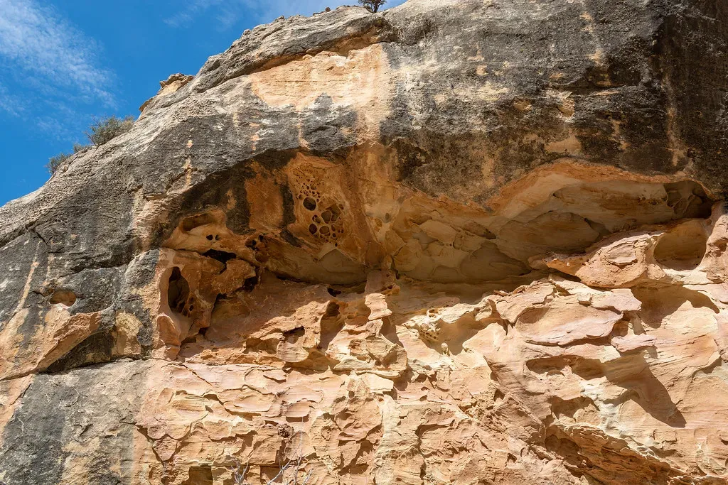 #8 - Only 3 to 4 Percent of Known Fossil Sites Have Ever Been Published (RuggyBearLA, Flickr, CC BY 2.0)