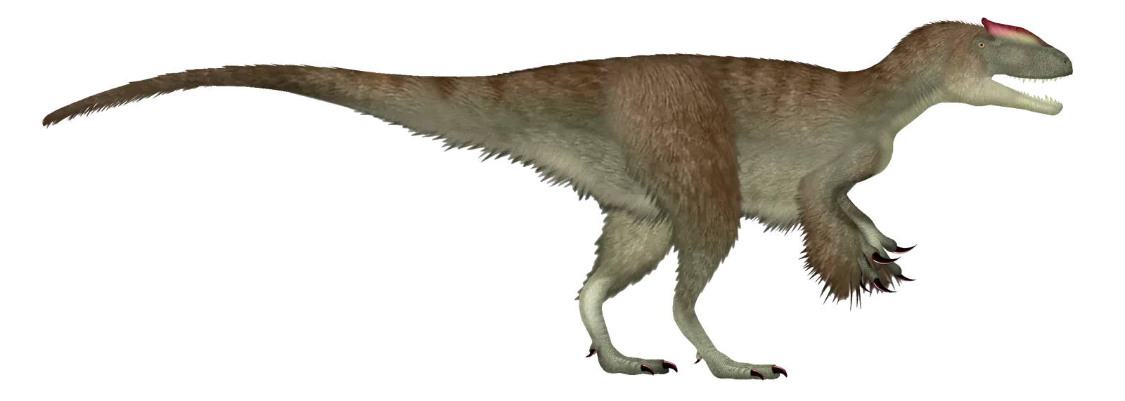 Siats meekerorum: The Forgotten Giant That Kept T-Rex Small (Image Credits: Wikimedia)