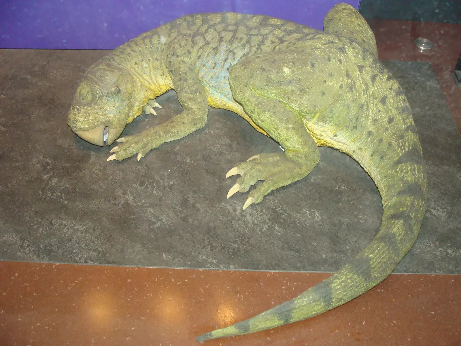Conclusion – would any real dinosaur actually beat Dino as a pet? (By Fernando Losada Rodríguez, CC BY-SA 4.0)