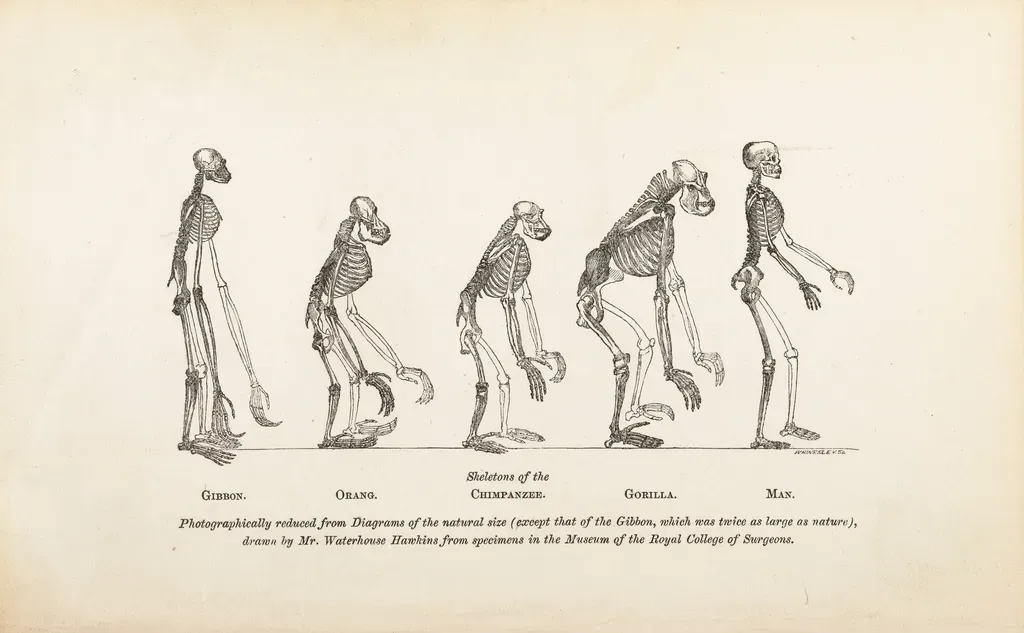 Conclusion: A Species Built On Improbable Edges (Image Credits: Rawpixel)