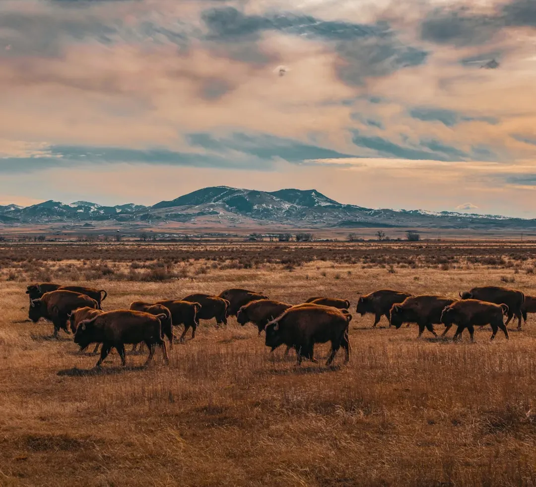 #6 - The Prairie Mammal Study That Broke Off Mid-Migration (Image Credits: Unsplash)