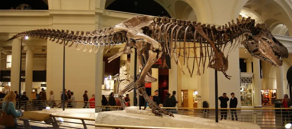 #1 - The Posture Overhaul That Made Every Museum Mount Wrong (Dallas Krentzel, Flickr, CC BY 2.0)