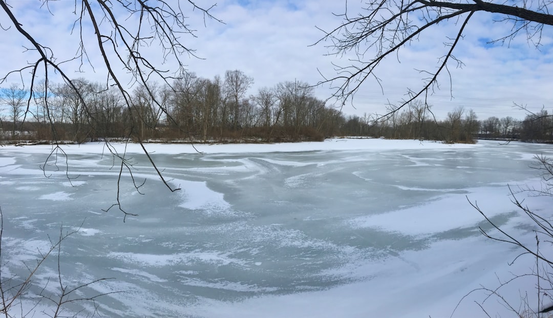 Scorpio: The Deep Current Navigator (Image Credits: Unsplash)