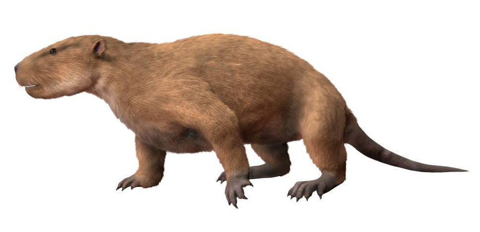 Conclusion (Image Credits: Wikimedia)