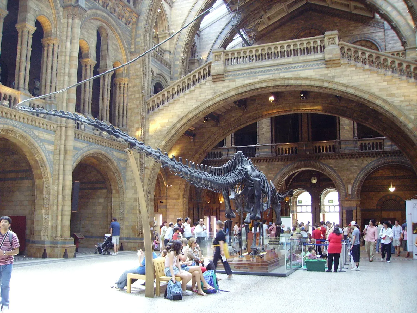 #8 - Seismosaurus Turned Out to Be an Extra-Long Diplodocus (By en User User:Ballista, CC BY-SA 3.0)