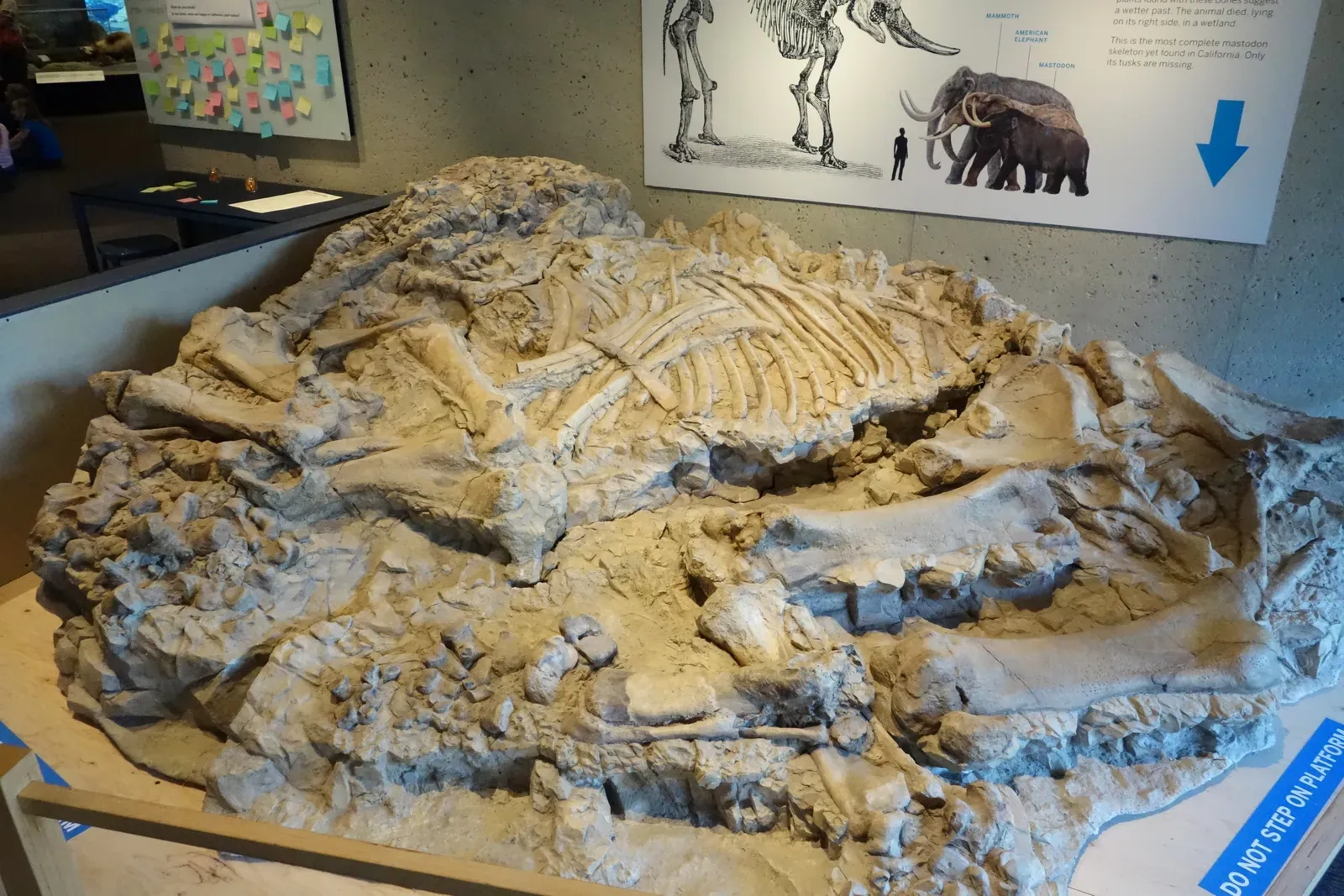 Chemical Time Capsules: Isotopes Tell Ancient Stories (Image Credits: Wikimedia)