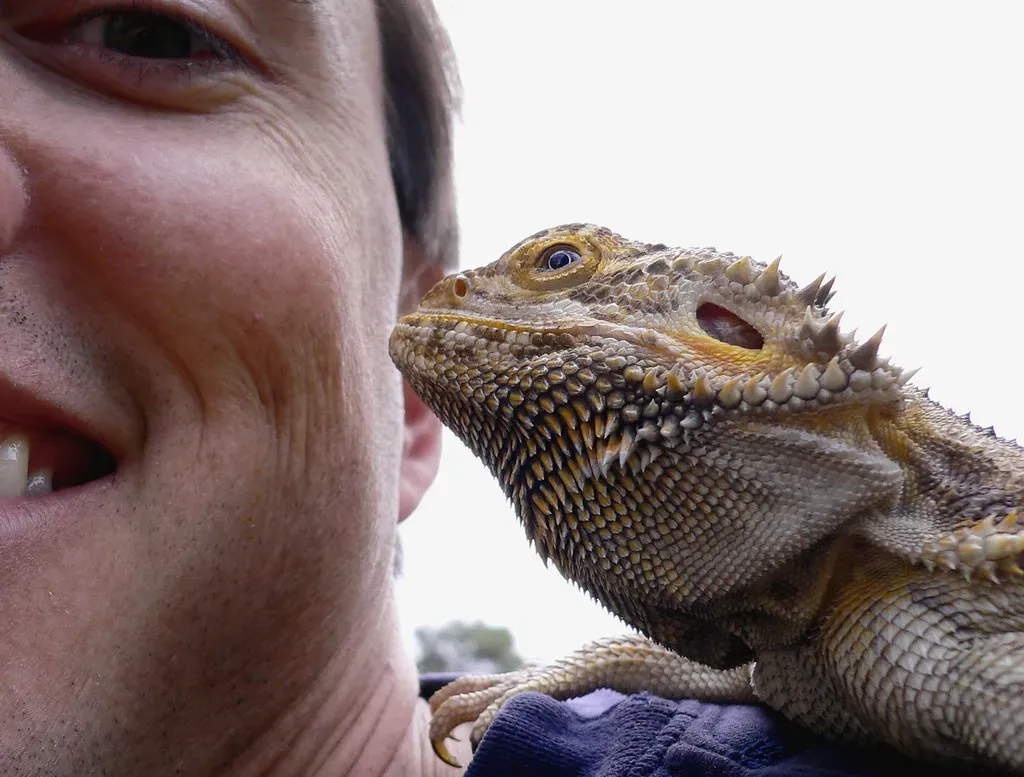 Your Pet Bird or Reptile Has Scales - And That's Straight-Up Prehistoric (jurvetson, Flickr, CC BY 2.0)