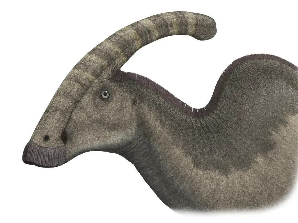 Parasaurolophus: Weaponizing Sound (Image Credits: Wikimedia)