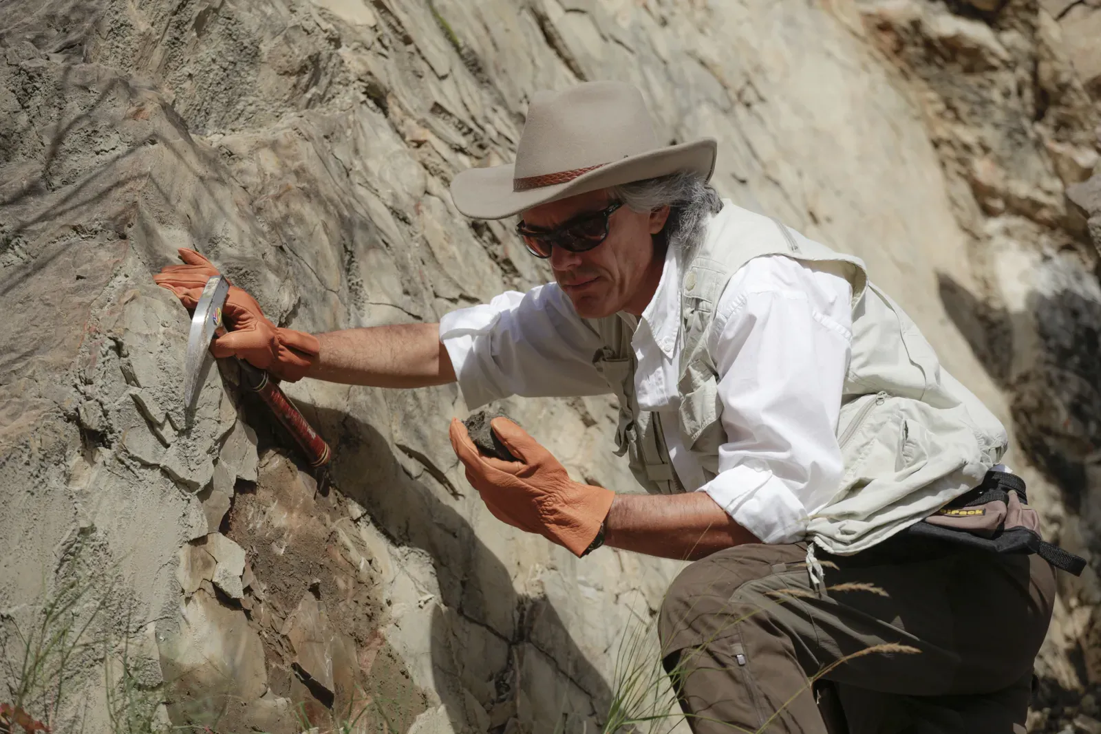 Turning Your Paleontologist Curiosity into a Life Path (By Geoworldmarketing, CC BY-SA 4.0)