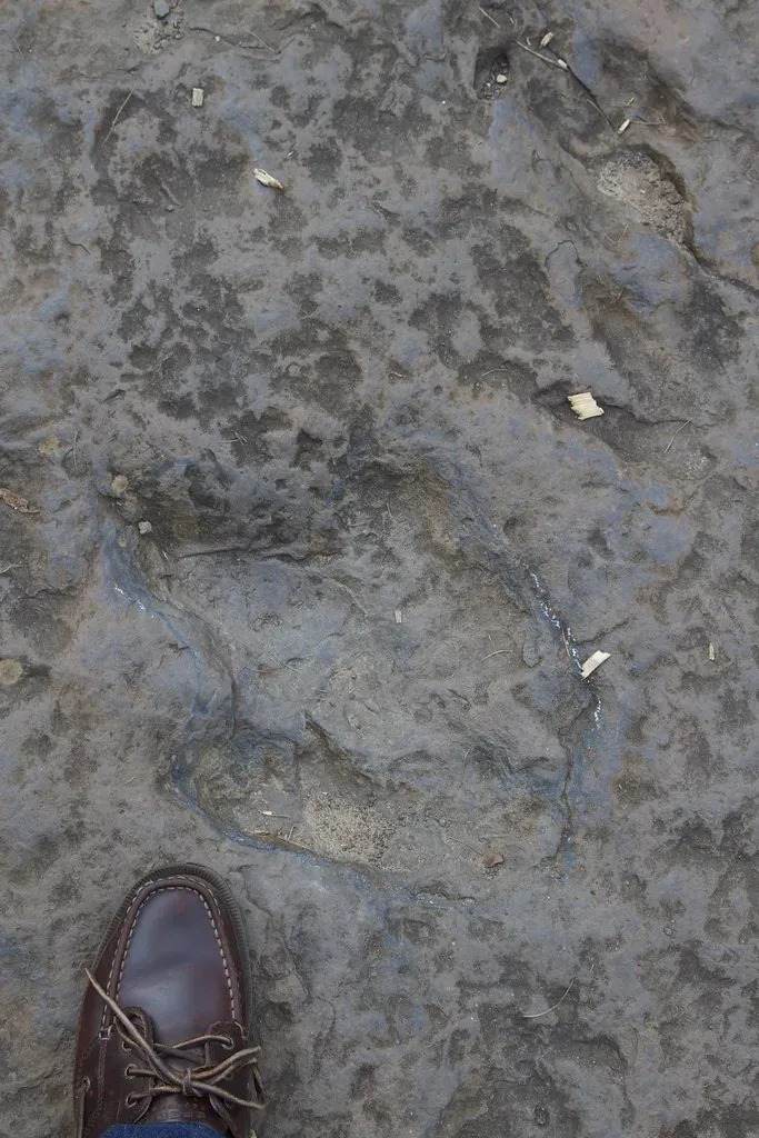 4. Dinosaur Footprints Reservation, Holyoke, Massachusetts (Robert Gray - Newton, MA, Flickr, CC BY 2.0)