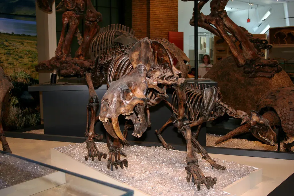 8. Its Legacy Lives On in Our Imagination and in Modern Science (greyloch, Flickr, CC BY-SA 2.0)