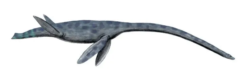 #9 - Elasmosaurus: The Fossil Cope Put Together Backwards (By Nobu Tamura (https://spinops.blogspot.com), CC BY 2.5)