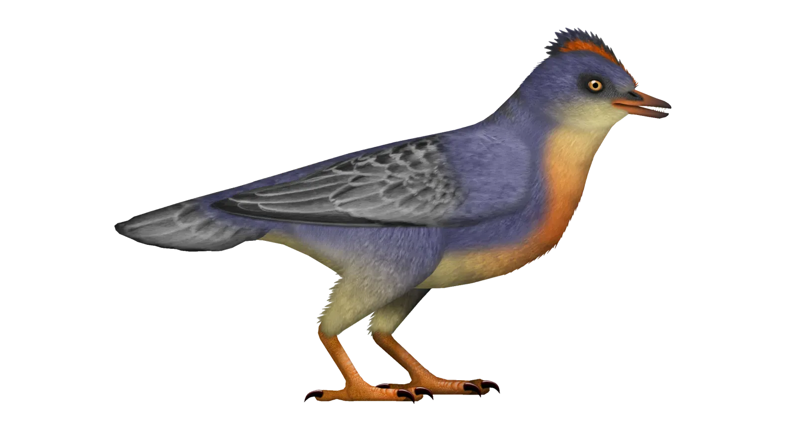 The Living Proof That Dinosaurs Never Actually Left (Image Credits: Wikimedia)