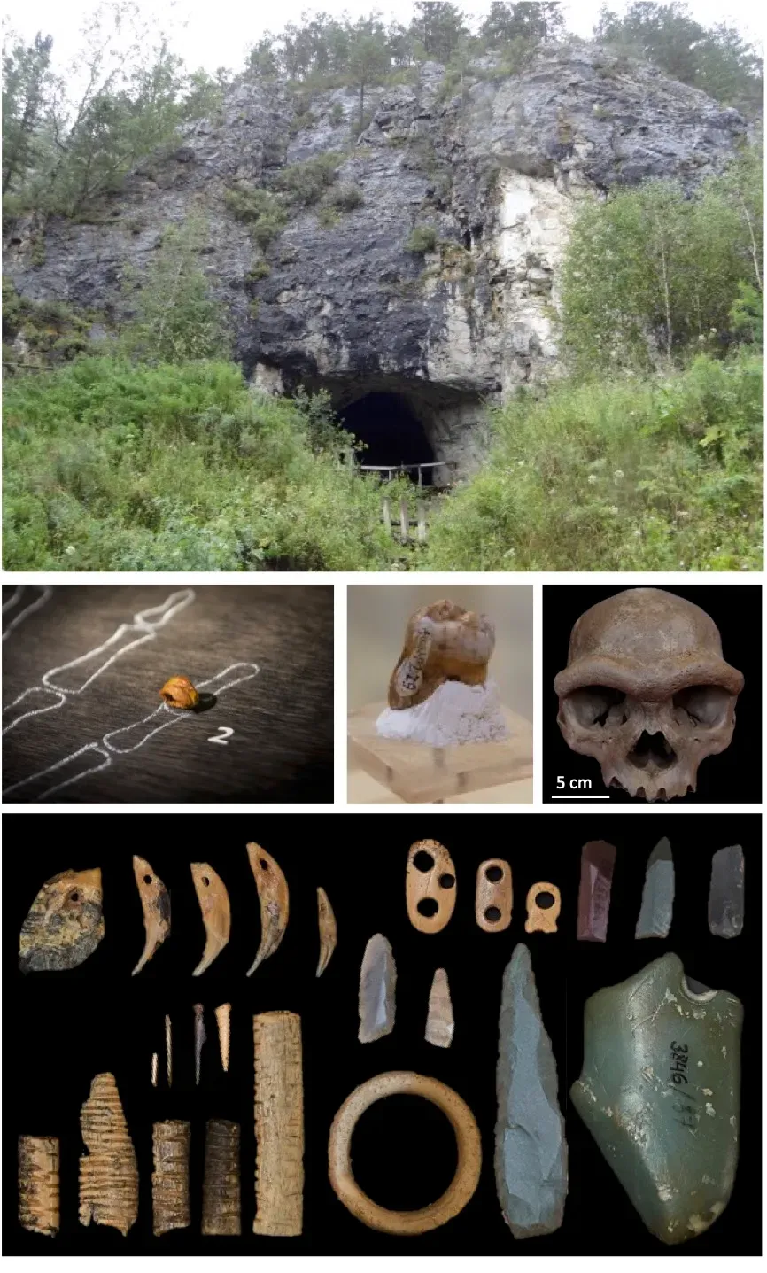 #2 - Denisova 11, "Denny" (Siberia) (By Bioanthropologist1, CC BY-SA 4.0)