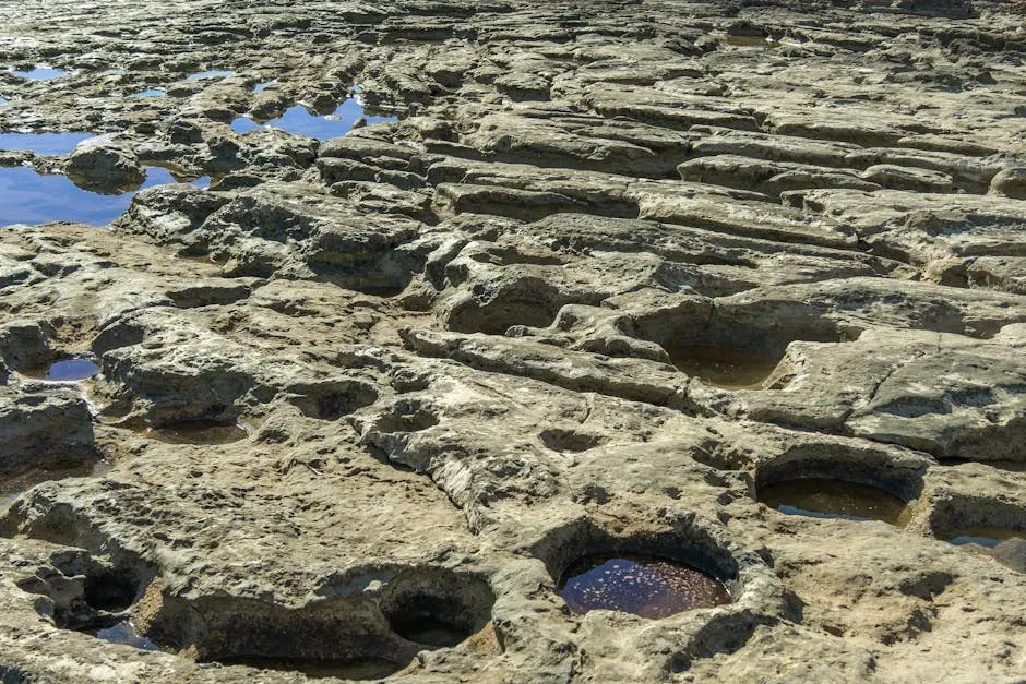 Limestone Tidal Platforms: Reef-Fringed Runways in Shallow Seas (Image Credits: Pexels)