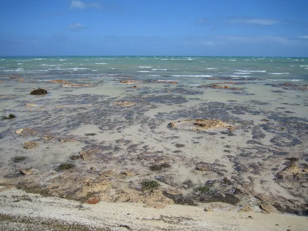 8. There Was No Land Life - The Continents Were Completely Barren (Eric Titcombe, Flickr, CC BY 2.0)