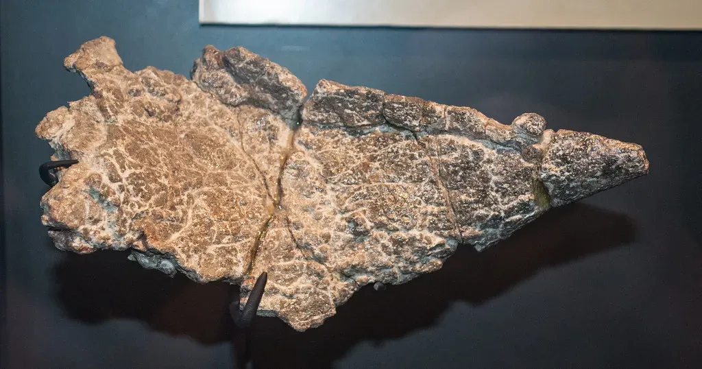 8. Its Armor Was Not Just One Piece, but a Complex Mosaic (Tim Evanson, Flickr, CC BY-SA 2.0)