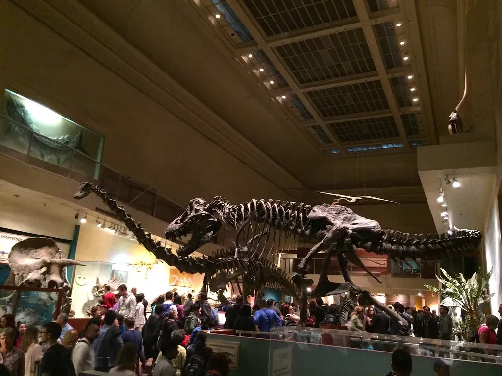 Conclusion: Dinosaur Halls Need a Shake‑Up, Not a Tear‑Down (blakespot, Flickr, CC BY 2.0)