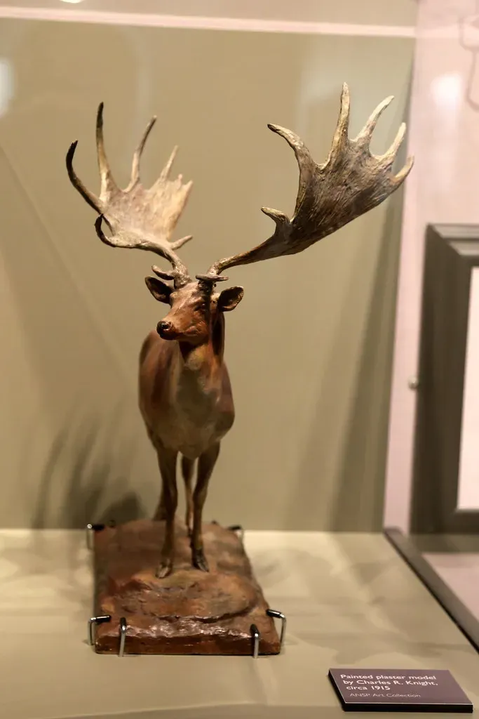 The Irish Elk: When Beauty Becomes a Burden (Jim, the Photographer, Flickr, CC BY 2.0)