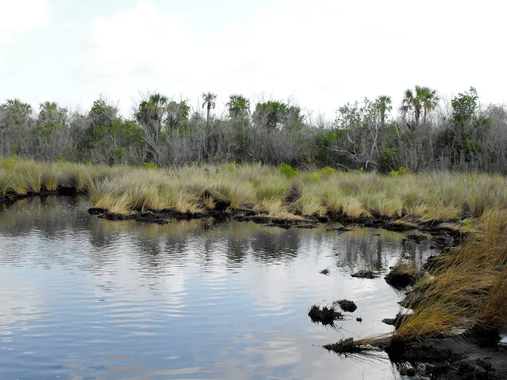 Conclusion: A Lost World Beneath Our Feet (Image Credits: Flickr)