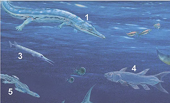 Life in the Triassic Seas: Reptiles, Reefs, and Ancient Oceans (Image Credits: Wikimedia)