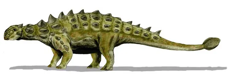 Euoplocephalus: The Living Tank with a Subtle Side (By Nobu Tamura (http://spinops.blogspot.com), CC BY 3.0)