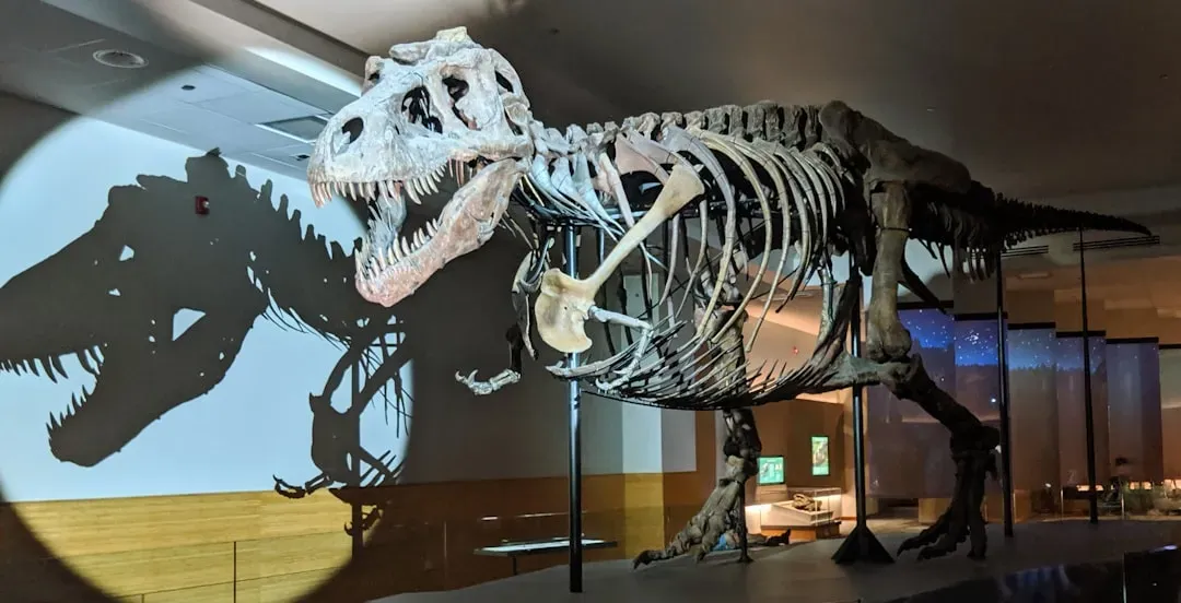 #19 - The T. Rex Posture Everyone Remembers Was Wrong (Image Credits: Unsplash)