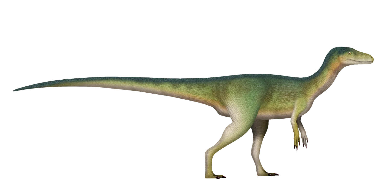 Which Dinosaur Species Came First (Image Credits: Wikimedia)