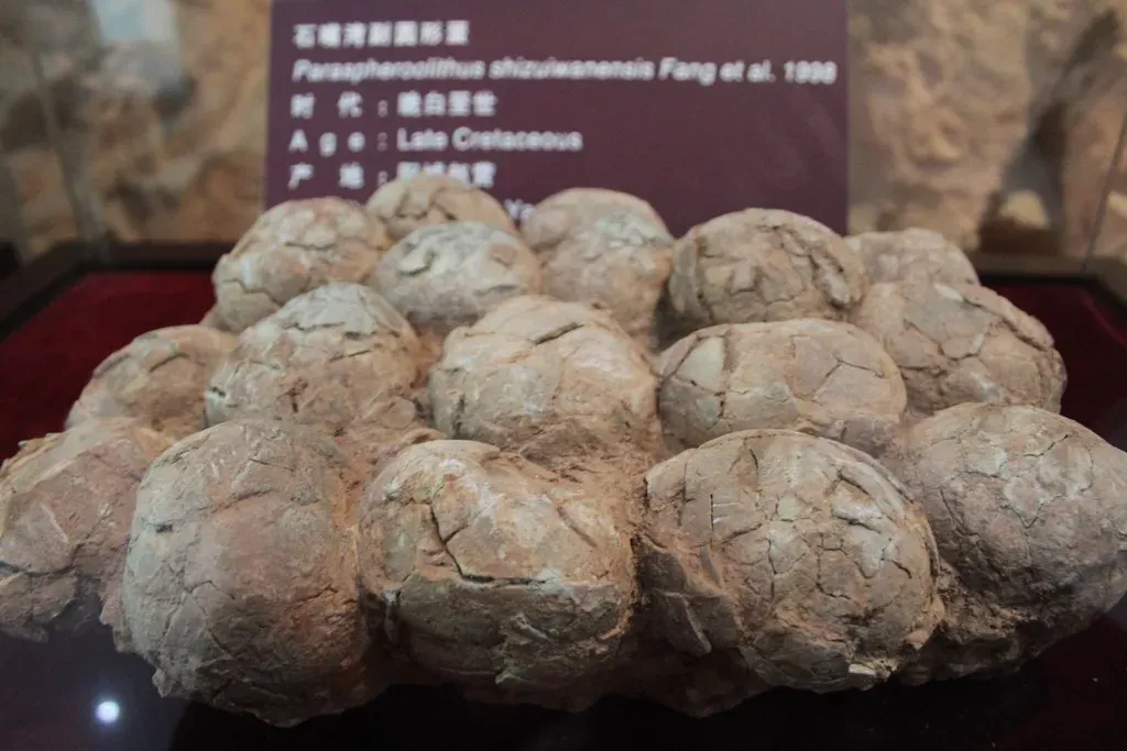 Diverse Egg Types Reveal Varied Incubation Techniques (Image Credits: Flickr)