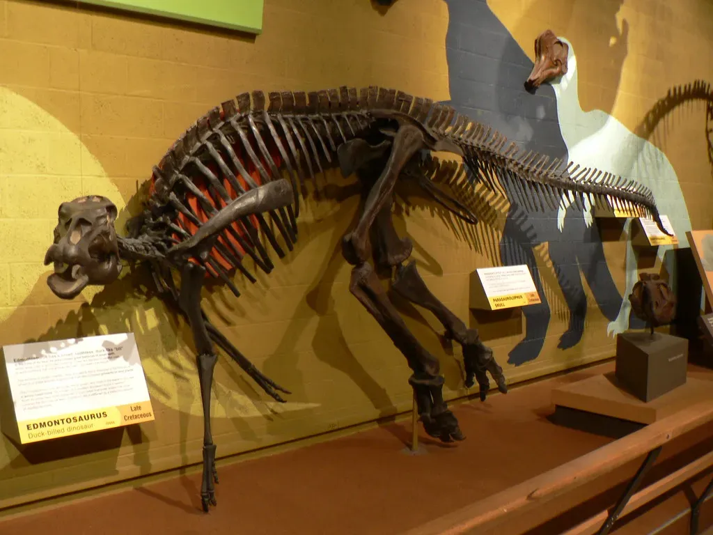 Soft Tissue in Fossils: The Discovery That Changed Everything (stu_spivack, Flickr, CC BY-SA 2.0)