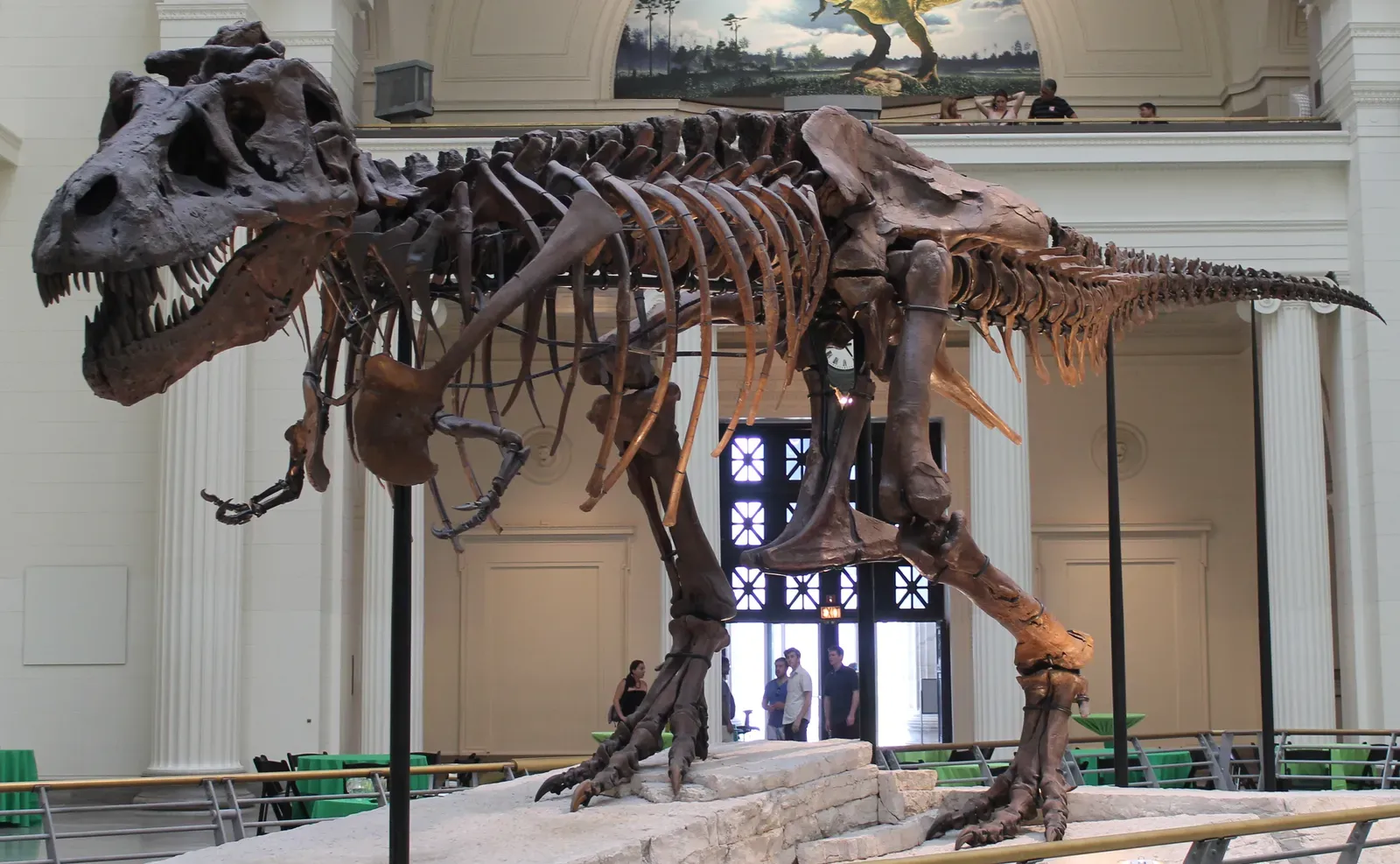 3. SUE the T. Rex: The Most Famous Fossil in the World (Sue, the world's largest and most complete Tiranosaurus rex skeleton.Uploaded by FunkMonk, CC BY-SA 2.0)