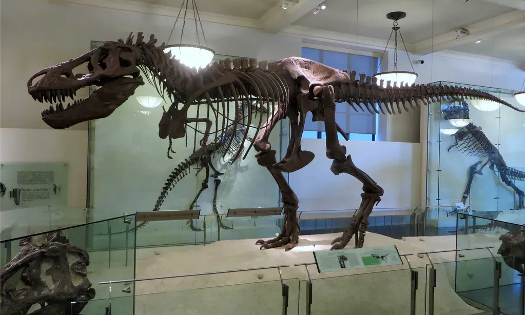 1. They Evolved Bones That Were Lightweight Marvels of Engineering (edenpictures, Flickr, CC BY 2.0)