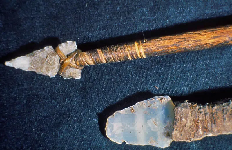#5 - Composite Hunting Spears With Precision-Engineered Tips (By Unknown authorUnknown author, Public domain)