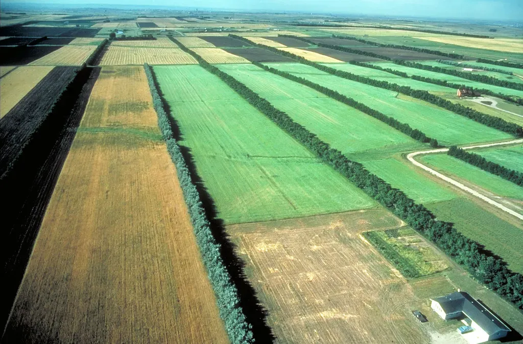 #12 - It Left Scars That Still Show Up in Soil Data Today (Image Credits: Flickr)