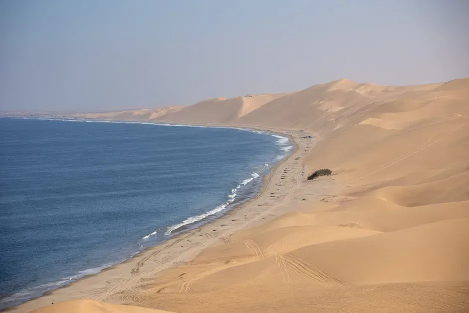 The Interior Desert and the Coastal Refuge (Image Credits: Pexels)