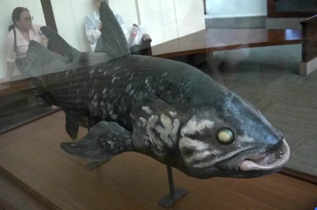 10. You’re Seeing an Evolutionary Survivor, Not a Frozen Relic (edenpictures, Flickr, CC BY 2.0)