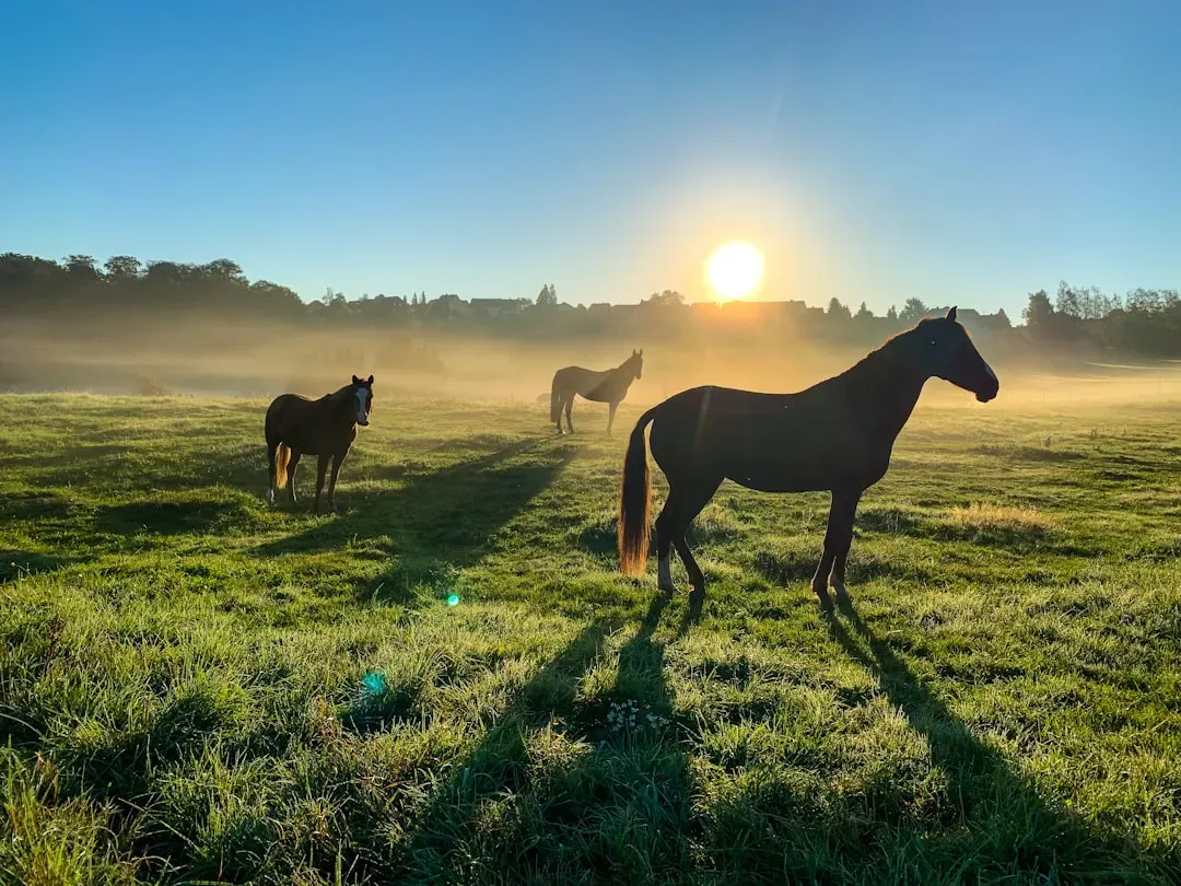 When the World Turned to Grass: Climate, Plants, and New Pressures (Image Credits: Unsplash)