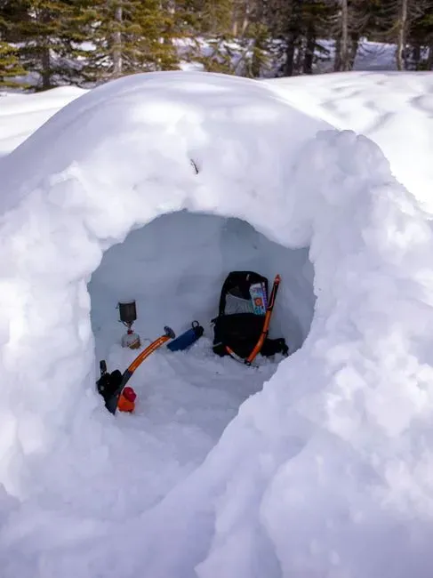 Caves, Huts, and Snow: Reinventing Home in a Frozen World (Image Credits: Pexels)