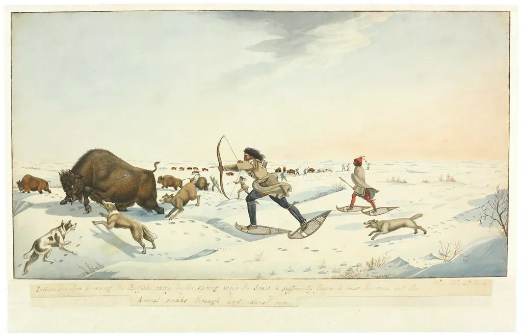 Ecological Stewardship and the Legacy of the Human-Megafauna Bond (BiblioArchives / LibraryArchives, Flickr, CC BY 2.0)