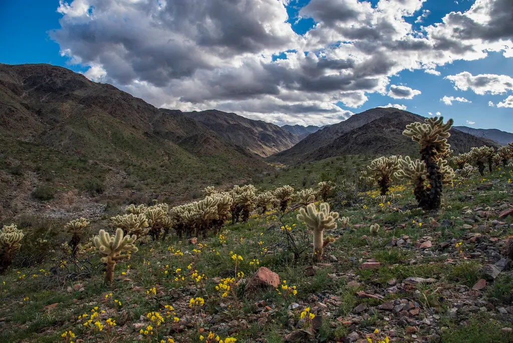 You Live With the Legacy of Dinosaur-Built Ecosystems (Image Credits: Flickr)