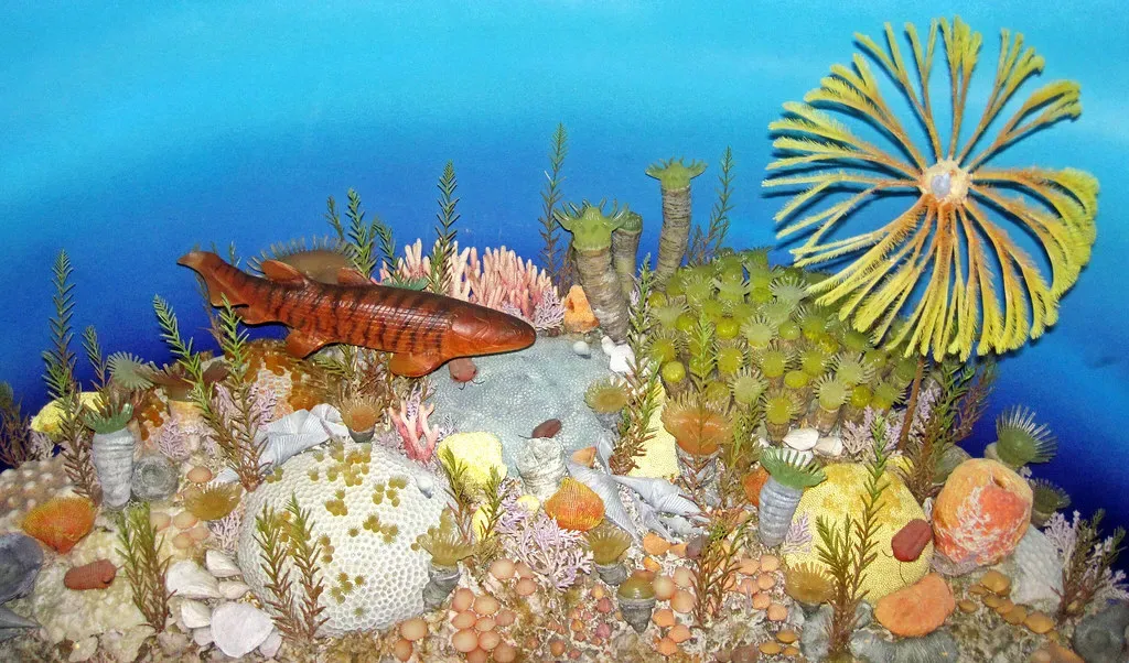 Seeing Emotions As Evolution’s First Survival Tool (James St. John, Flickr, CC BY 2.0)