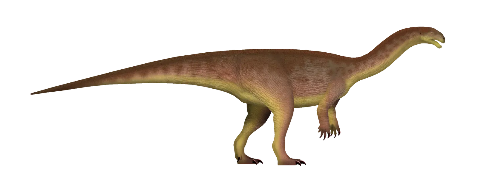From Lightweight Sprinters to Heavyweights: The Long Road to Gigantism (By TotalDino, CC BY 4.0)