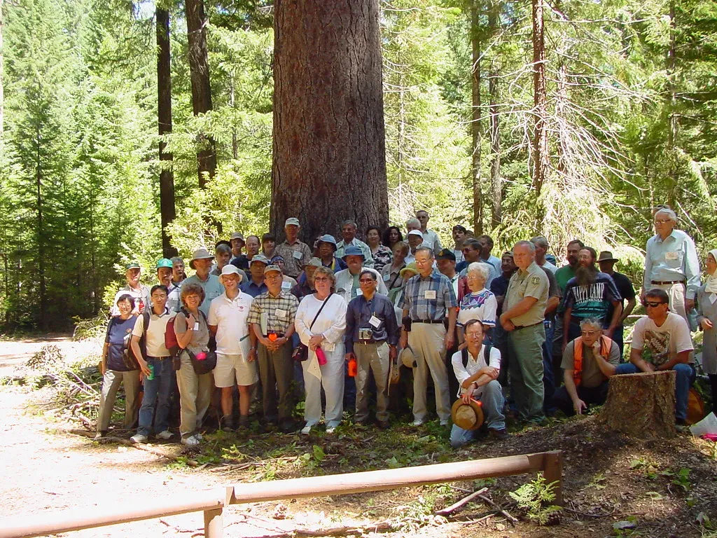 Indigenous Knowledge and Forest Management (Image Credits: Flickr)