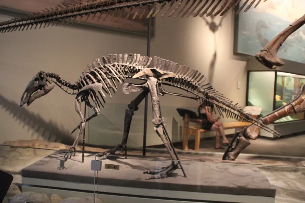 What They Mean for Modern Science (Image Credits: Flickr)